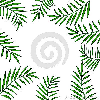 Palm tree leaves border 2 Vector Illustration