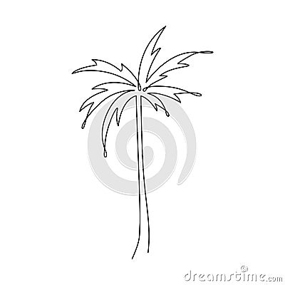 PALM TREE LINE ART. Vector palm. Tropical palm tree Continuous Linear Drawing. Single line art. Summer One Line object Vector Illustration