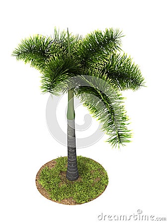 Palm tree model Stock Photo