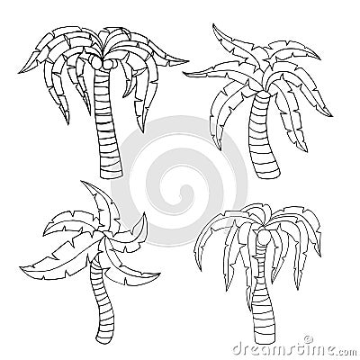 Palm tree Vector Illustration