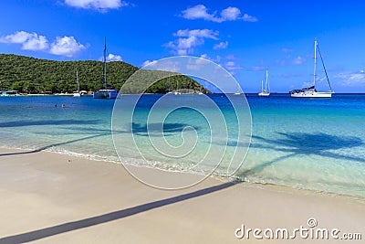 Palm tree shadows at spectacular and exotic Saltwhistle Bay in the Grenadines Editorial Stock Photo