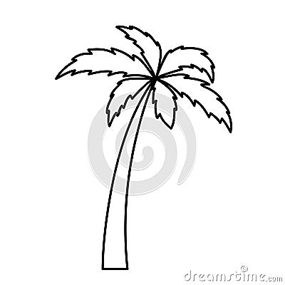 Palm tree simple icon pictogram outline Vector Illustration