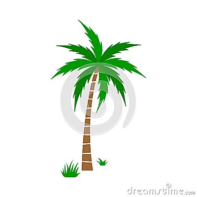 A palm tree vector set. Vector Illustration