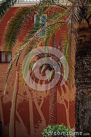 Palm tree and wall painting graffiti on a red facade. Summer scene in cote d'azur, France Stock Photo