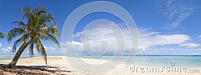 Palm tree and white sand beach panoramic view Stock Photo