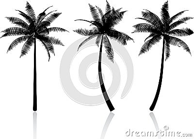 Palm trees Vector Illustration