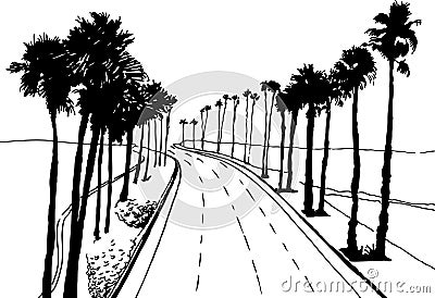 Palm Trees Vector Illustration