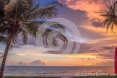 Palm View Stock Photo