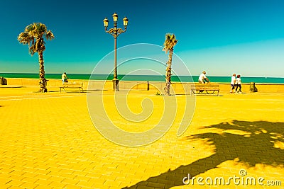 Palm trees along the coast in Cadiz at beautiful sunny day. Editorial Stock Photo