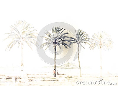 Palm trees along the coast in Palma de Mallorca Cartoon Illustration