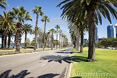 Palm trees along empty Riverside Drive in Perth City Editorial Stock Photo