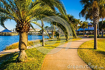 Palm trees along a path in Daytona Beach, Florida. Stock Photo