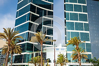 Palm trees on the background of tall buildings, Lima, Peru 2019-12-07. Editorial Stock Photo