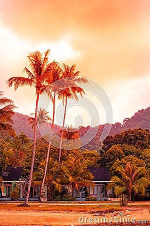 Palm trees on the beach and bungalows on the first line brightly tinted. Rest in Thailand opening of the season Stock Photo