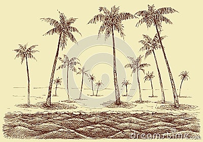 Palm trees beach panorama Vector Illustration