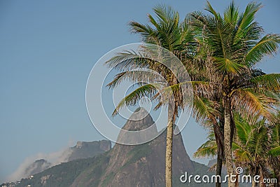 Palm trees on the beach of Rio de Janeiro with Dois Irmaos in the background Stock Photo