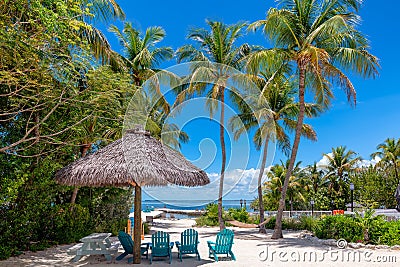 Palm trees on beautiful beach in tropical resort Stock Photo