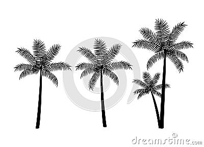 Palm trees, black silhouettes isolated on white background Vector Illustration