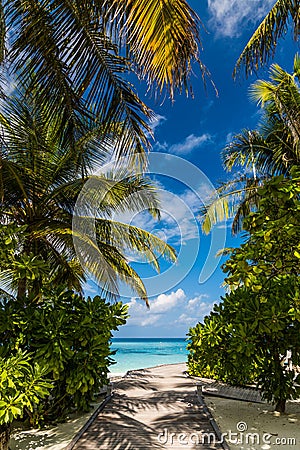 Palm trees and blue lagoob with blue sky and clouds. Stock Photo