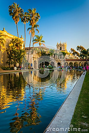 Palm trees and buildings reflecting in the Lily Pond Editorial Stock Photo