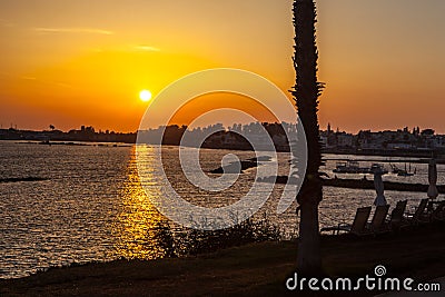 Palm trees on coean shore at sunset Stock Photo