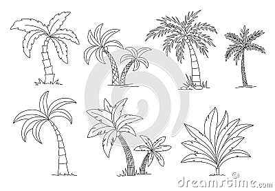 Palm trees coloring book. Beautiful vectro palma tree set vector illustration Vector Illustration