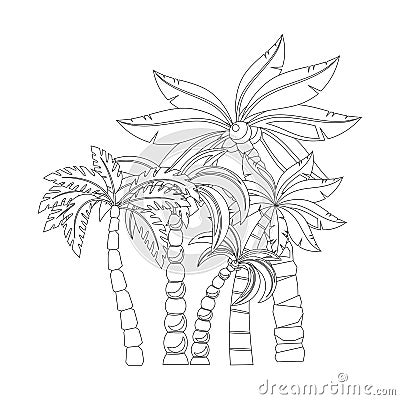 Palm trees for coloring book pages Vector Illustration