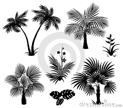 Palm trees, flowers and leaves, black silhouettes Vector Illustration