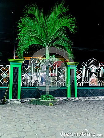 The palm trees grow on the streets lushly. Green fences and green palm trees Stock Photo