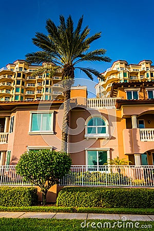 Palm trees, houses and condo towers in Saint Petersburg, Florida Stock Photo