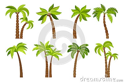 Palm trees isolated on white Vector Illustration