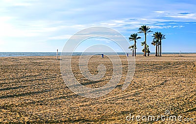 Palm trees on a lonely beach Stock Photo