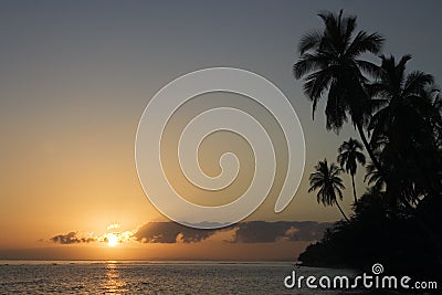Palm trees and a Maui sunset Stock Photo