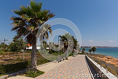 Palm trees at Mil Palmeras Costa Blanca Spain on promenade paseo leading to the beach Stock Photo