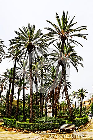 Palm trees in Park Villa Bonnano, Palermo Editorial Stock Photo