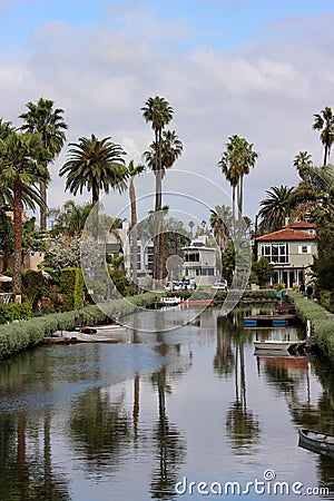 Palm Trees Reflect in a Canal in Venice, California Editorial Stock Photo