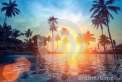 Palm trees reflection in the water on a tropical seaside during sunset. Nature. Stock Photo