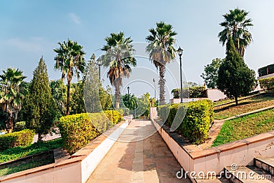 Palm trees road at Rajiv Gandhi Park in Udaipur, India Stock Photo