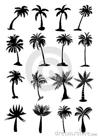 Palm trees set Vector Illustration