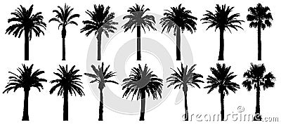 Palm trees silhouette. Vector set tropical trees. Isolated on white background Vector Illustration