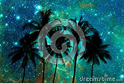 Palm trees silhouettes, starry night Stock Photo