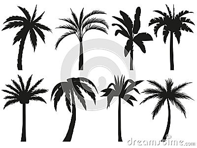Palm trees silhouettes. Tropical leaves, retro palms tree and vintage silhouettes vector illustration set Vector Illustration