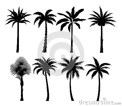 Palm trees silhouettes vector illustrations set. Exotic plants black simple isolated design elements pack. Leaves and Vector Illustration