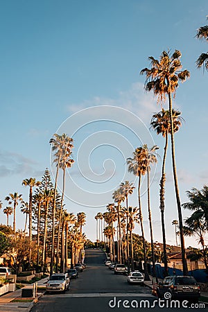 Palm trees and street near Windansea Beach, in La Jolla, San Diego, California Editorial Stock Photo