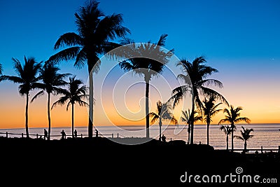 Palm Trees sunset at Cable Beach, Broome, Western Australia Stock Photo