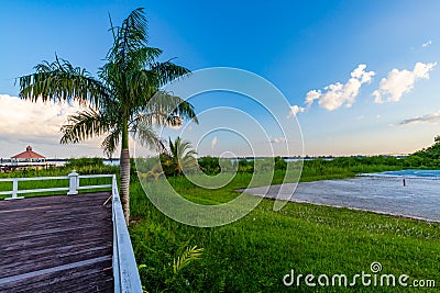 Palm Trees And Sunset On Suriname River Stock Photo