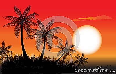 Palm trees at sunset Stock Photo