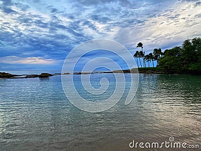 Palm trees swaying in the breeze with gorgeous blue sky and puffy clouds in Hawaii Stock Photo