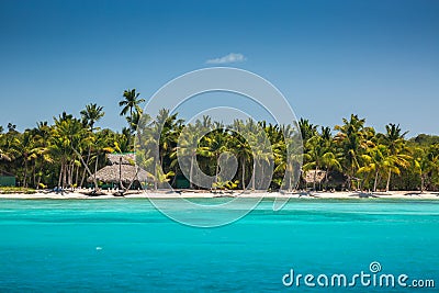 Palm trees on the tropical beach, Dominican Republic Stock Photo