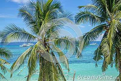 Palm trees, turquoise sea with traditional boats in the background, Cebu island, the Philippines Stock Photo